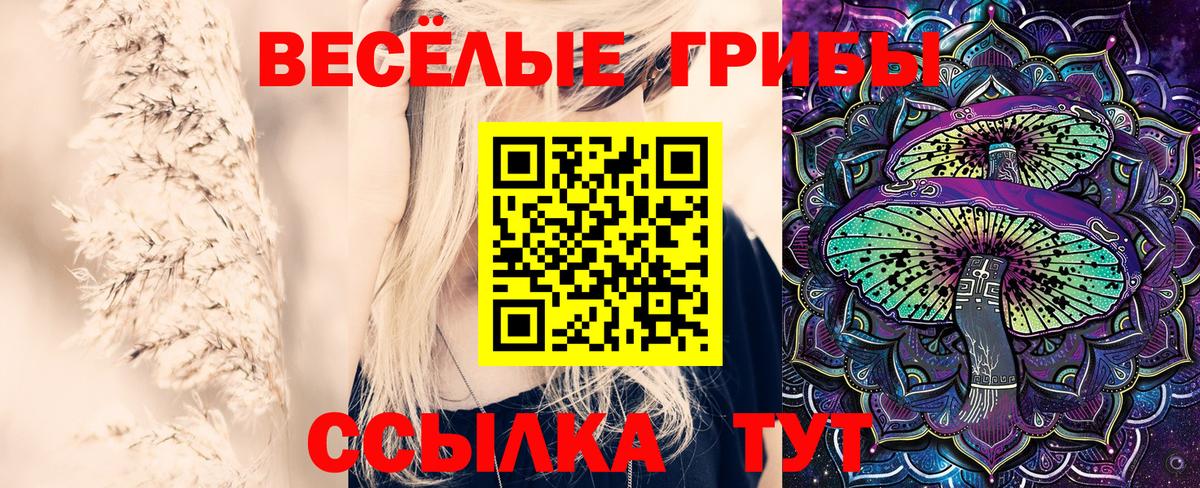 Галлюциногенные грибы прущие грибы Братск