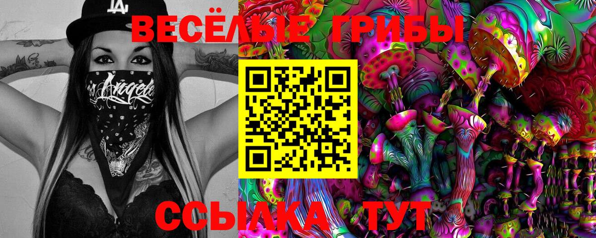 Галлюциногенные грибы прущие грибы  Галлюциногенные грибы Cubensis  Вход с VPN  Братск 